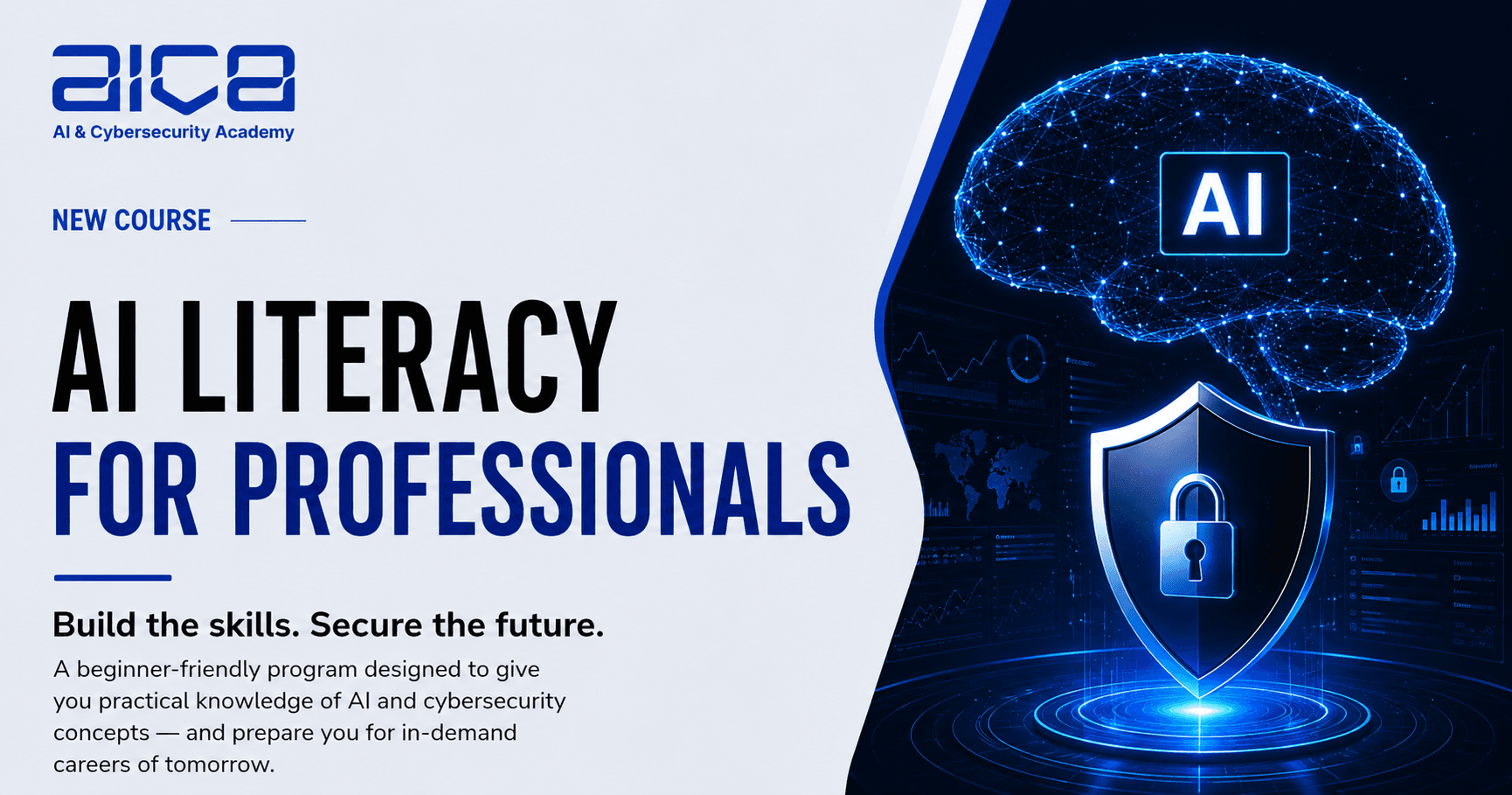 AI Literacy for Professionals